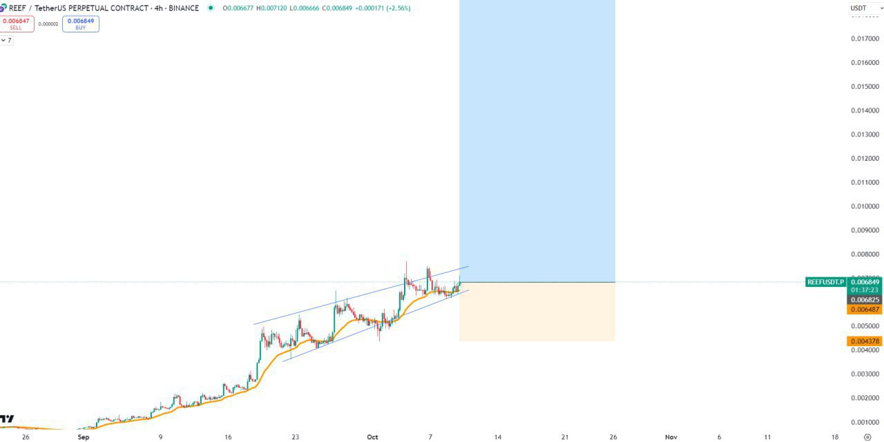 REEFUSDT Buy Setup