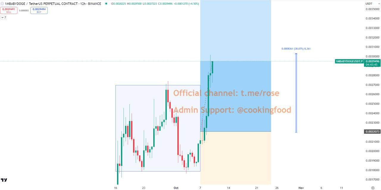 1MBABYDOGE Buying Opportunity