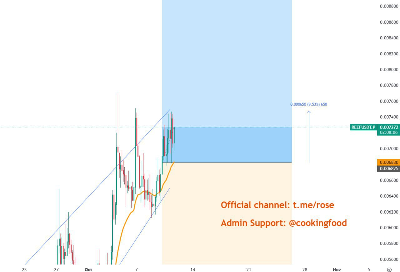 REEFUSDT Buy Setup