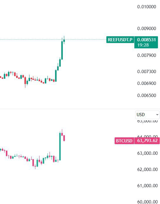 REEFUSDT Buy Setup