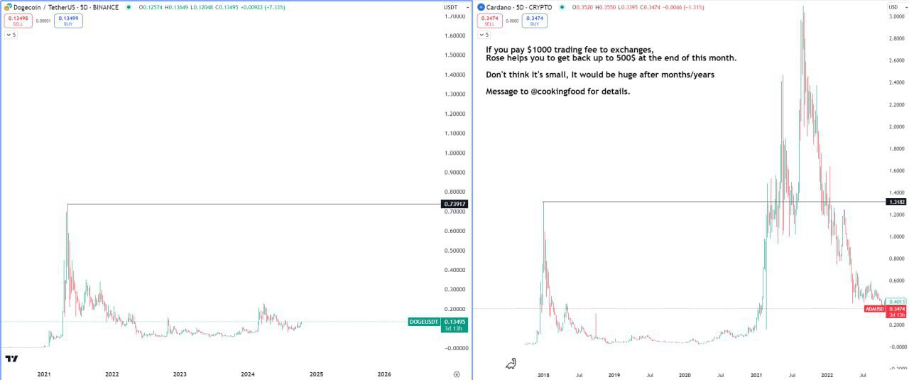 DOGEUSDT Trading Setup