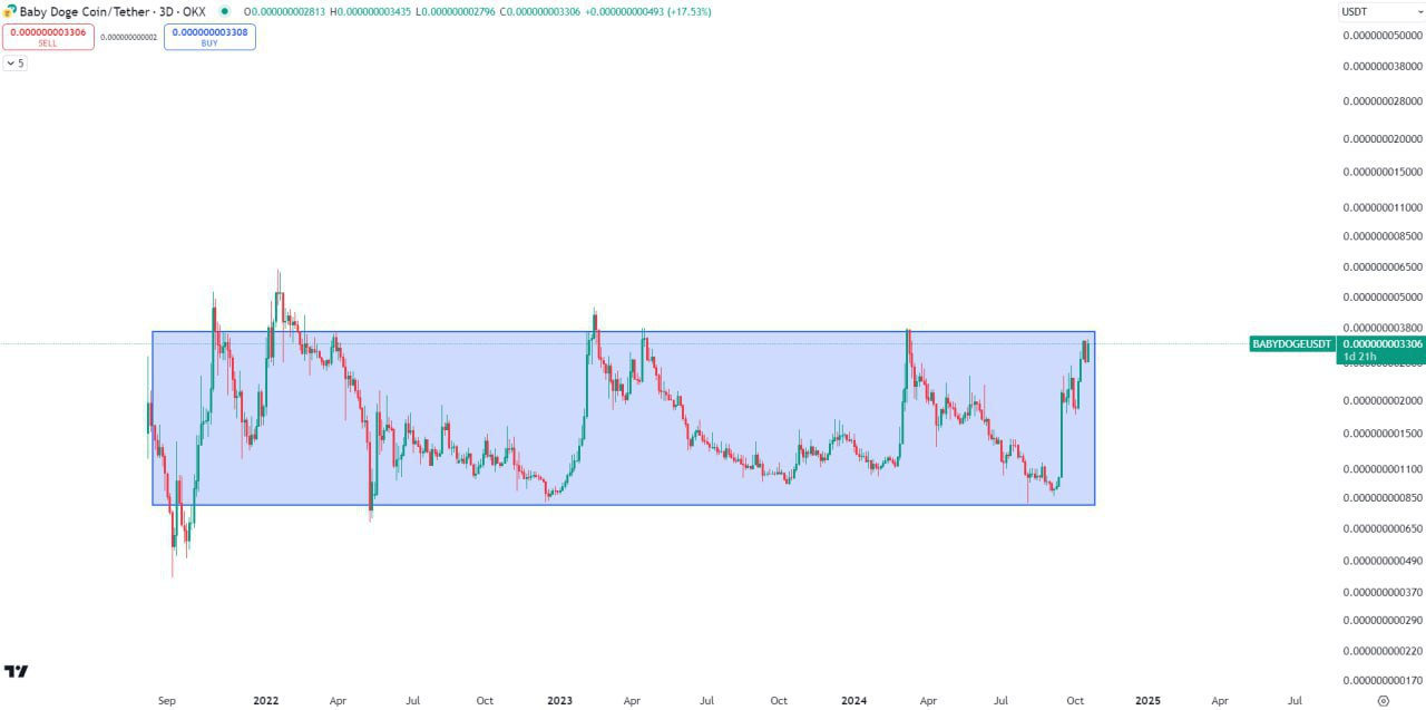 BABYDOGEUSD Buy Setup
