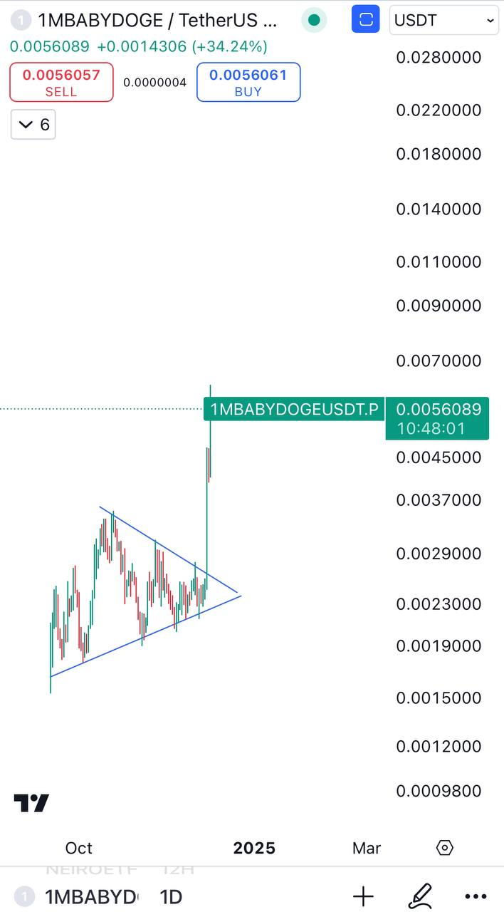 1MBABYDOGE Buy Setup