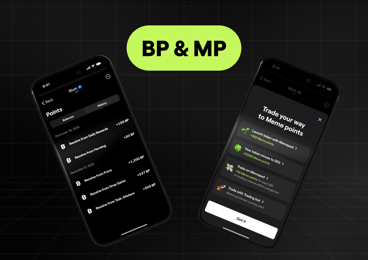 Crypto Market Update