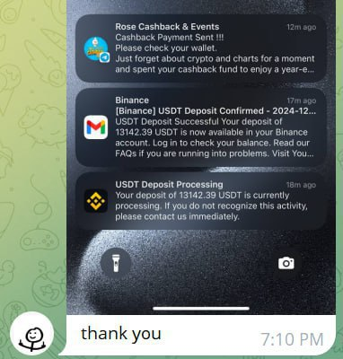 Crypto Market Update