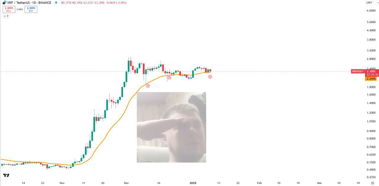 Crypto Market Update