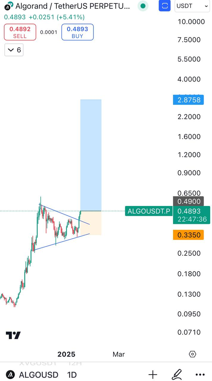 ALGOSDT Buy Setup