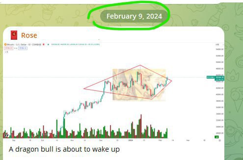 BTC Mirror: Current Context Echoes Feb 2024 Around $44,444