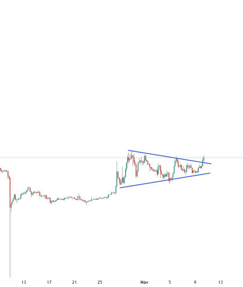 Free 7-Day Rose Premium Access + 50% Discount β Should We Add More?