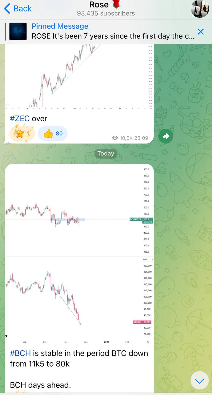 ZEC Down, BCH Emerging — Quick Crypto Headline