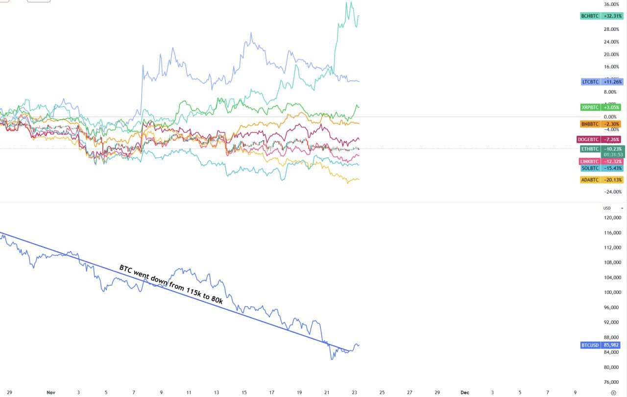 BCH 👀 — Which Coin Could Outperform When BTC Rallies?