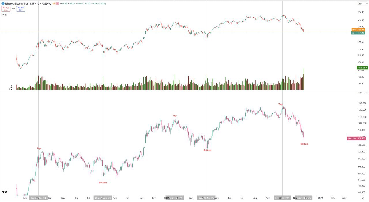 Buy When There’s Blood in the Streets — Contrarian Crypto Wisdom