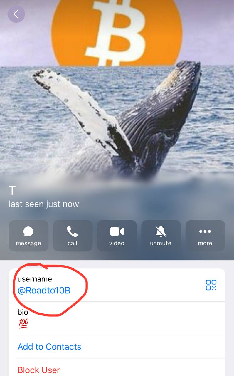 Market Snapshot — BTC, DOGE, ETH & ZRO Chart Signals