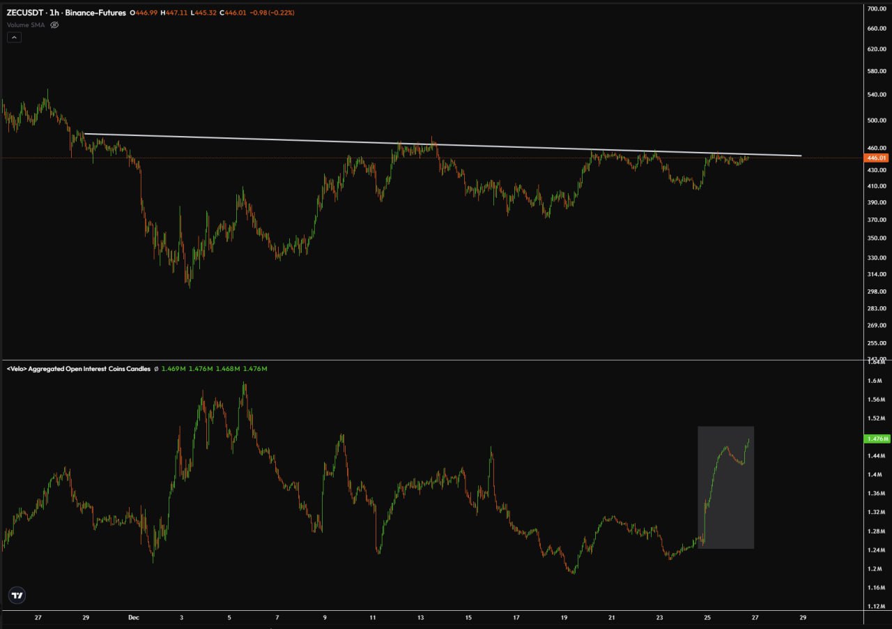 Whales Shorting ZEC โ Rising Zcash Short Interest