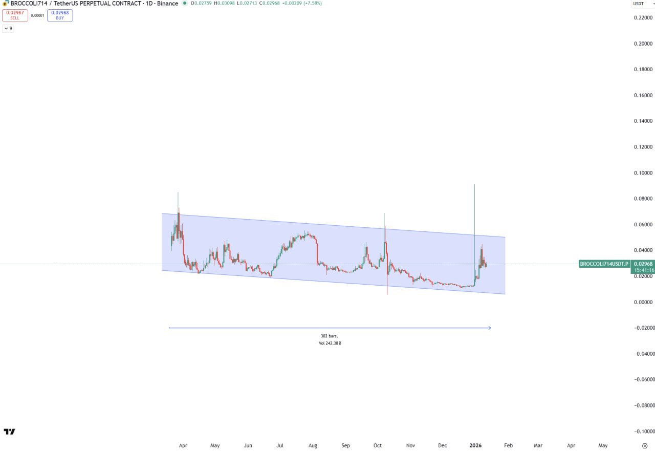 BROCCOLI714 — 300 Days of Accumulation