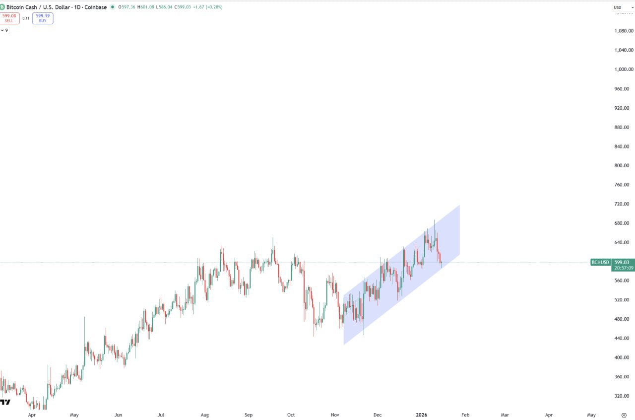 BCH — Bitcoin Cash Quick Market Snapshot