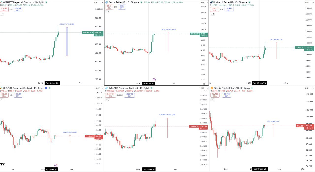 The Race of Privacy Family — Who Will Win the Privacy Crypto Race?