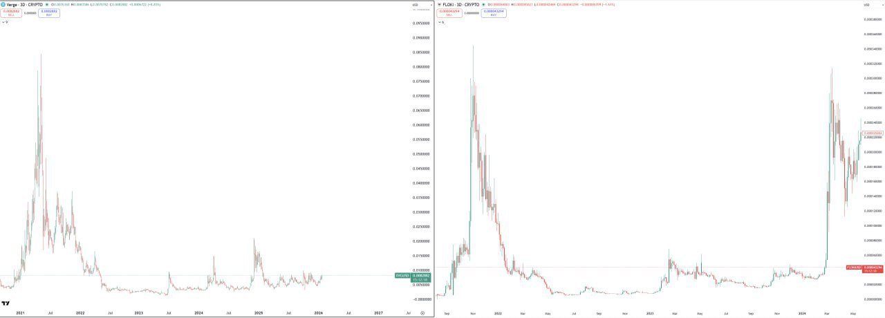 XVG — The ‘Floki’ of Privacy Coins