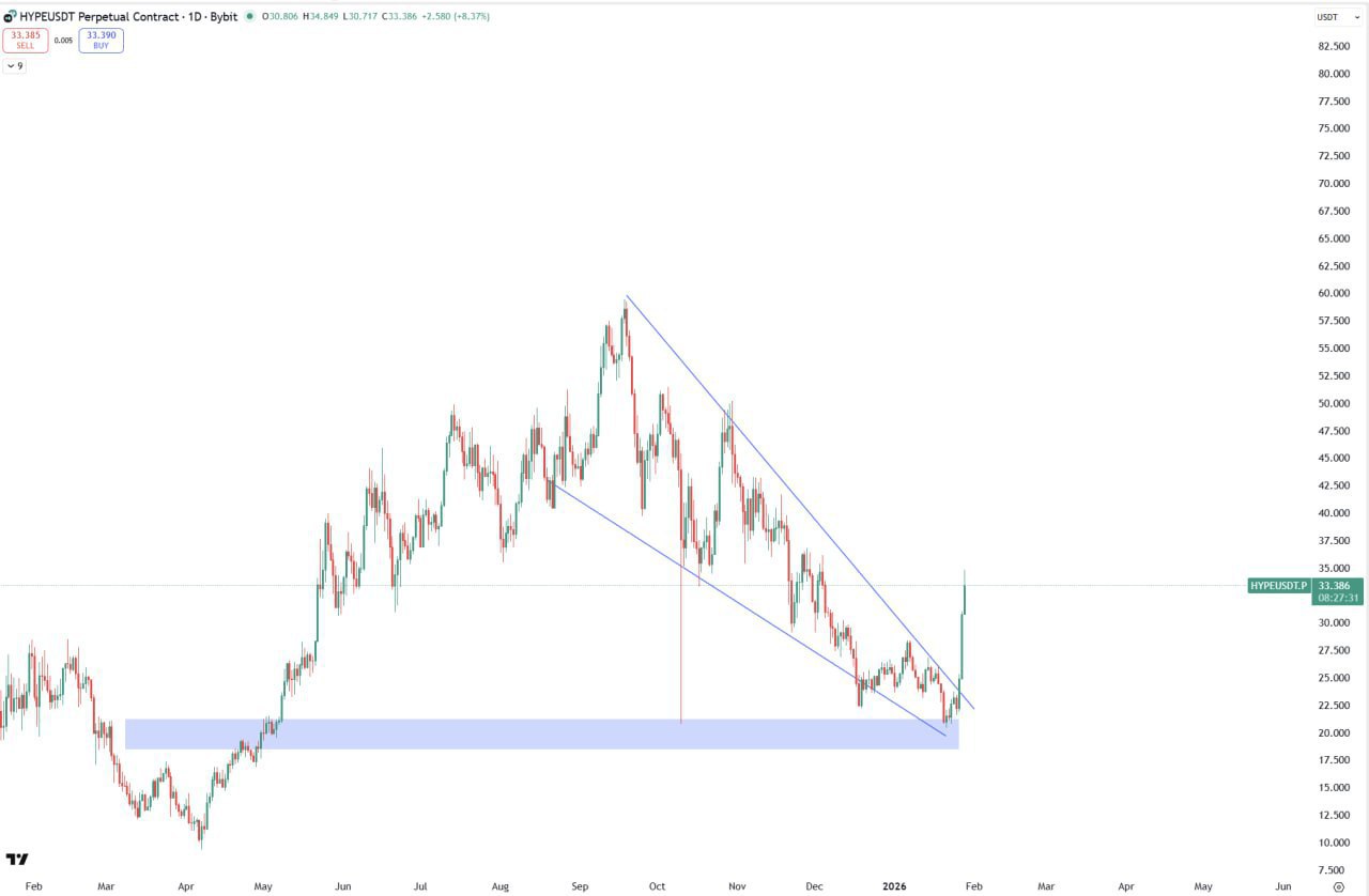 HYPE Is Everywhere: Why Everyone’s Talking Crypto