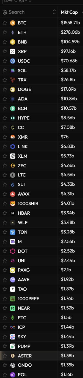 Bigcap Prints New Local High — Market Alert