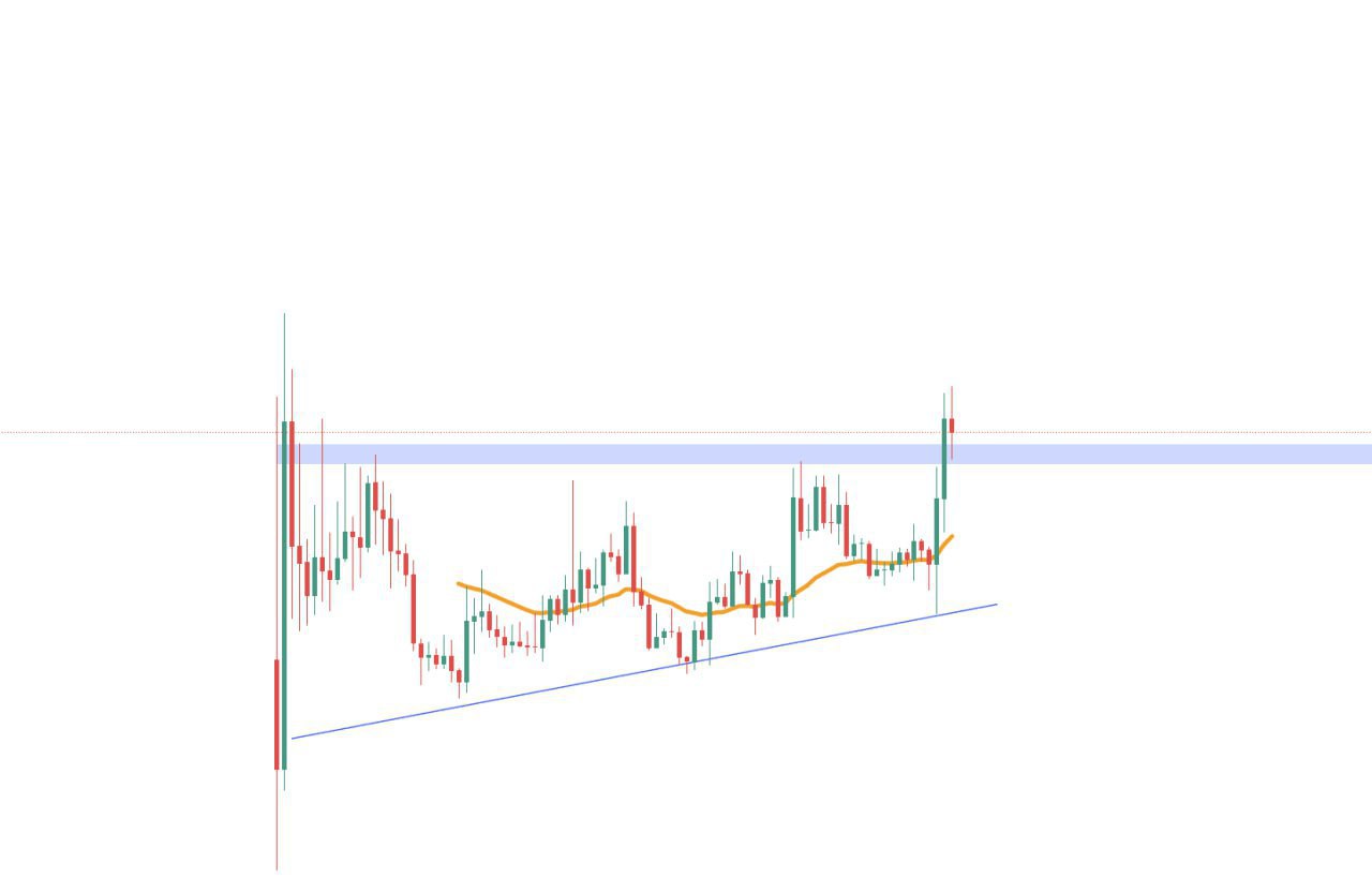 Which One? Picking the Next Crypto Move