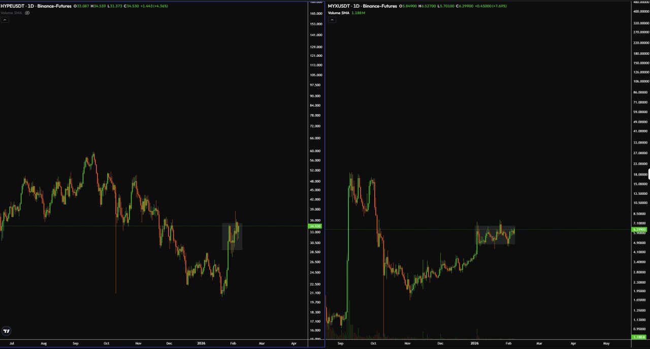 2 Coins Holding Strong During the Crypto Correction