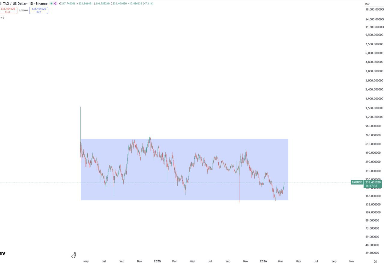 Rose Boxes Never Lie β Market Thought on Price Signals
