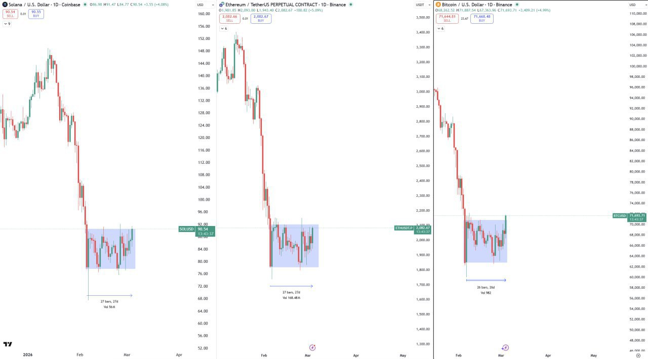 Bulls Return: Climax Fear Box Breakout After 1-Month Accumulation