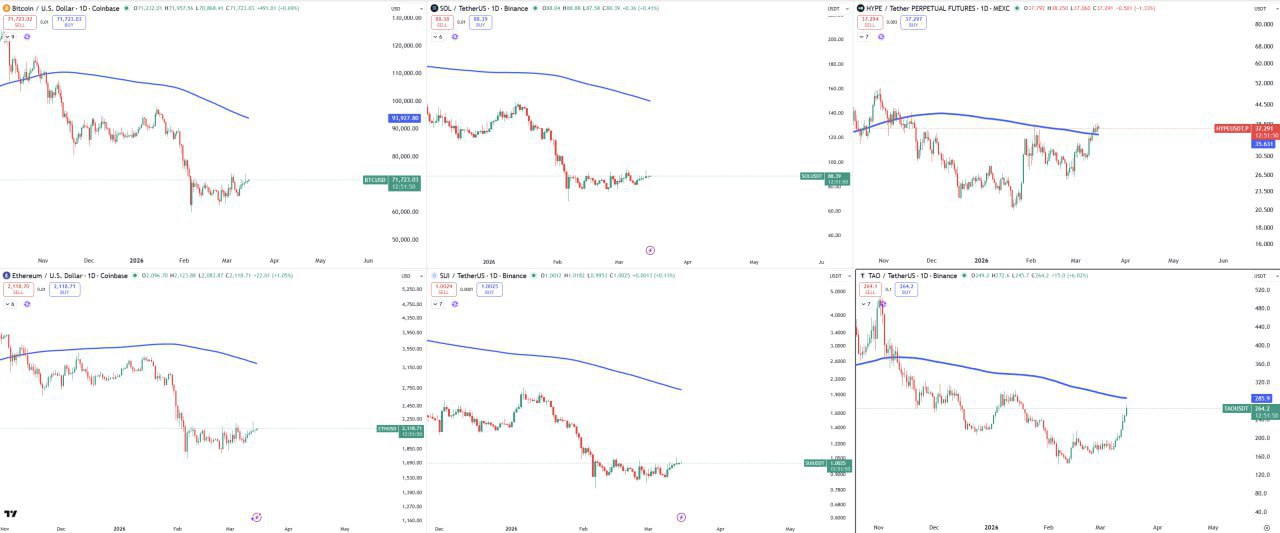 MA200 Matrix — MA200 Moving Average Trading Matrix for Crypto Charts