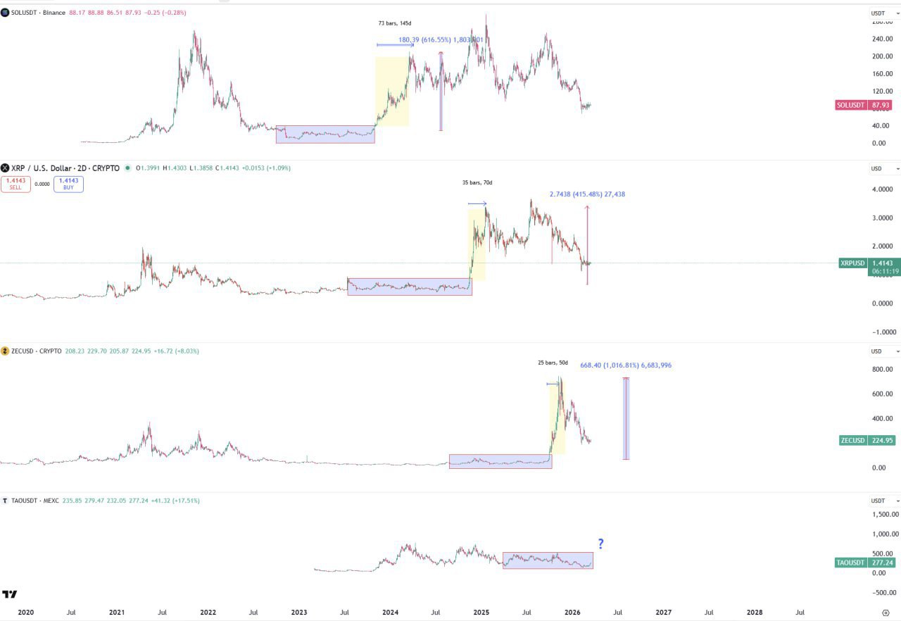 TAO: Rose Army Predicts the Next Legendary Bang