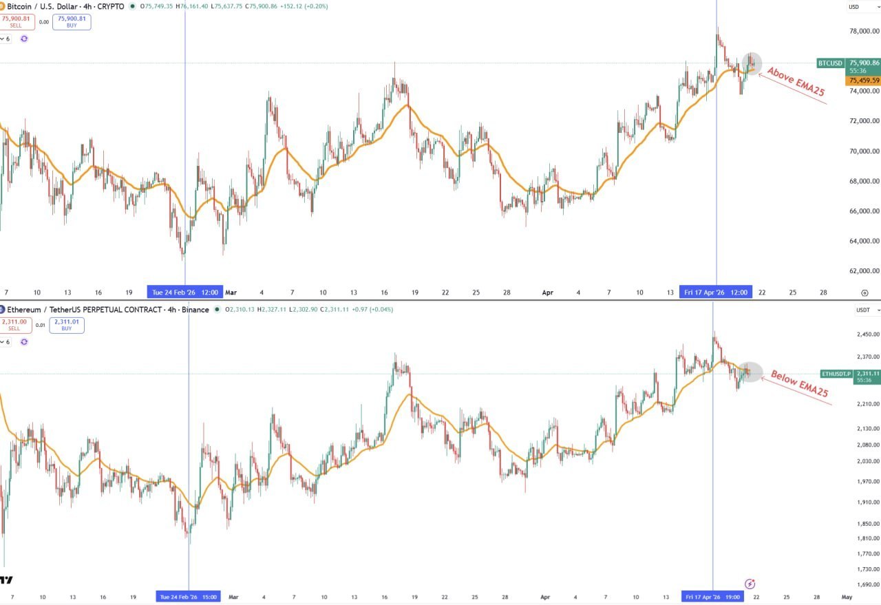 Cryptocurrency Update — Quick Insights